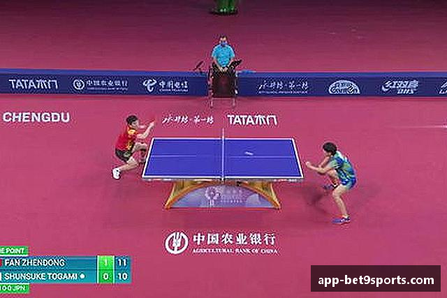 发现Bet9九州体育